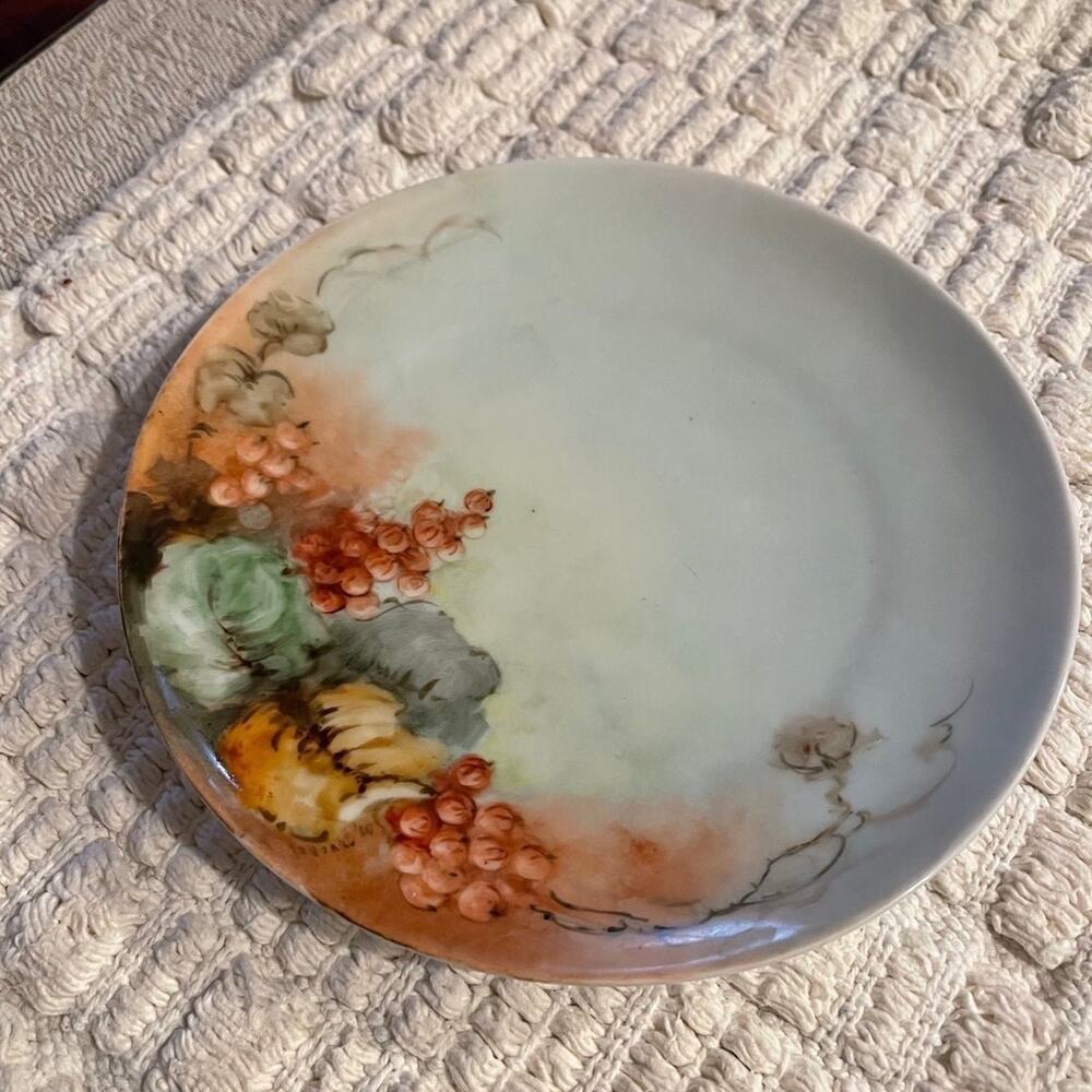 Vintage Antique MZ Austria Handpainted salad Plate 7-3/4"